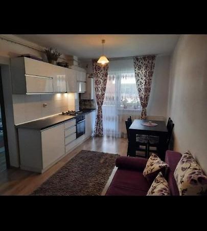ブラショフDiana Apartamentアパートメント エクステリア 写真