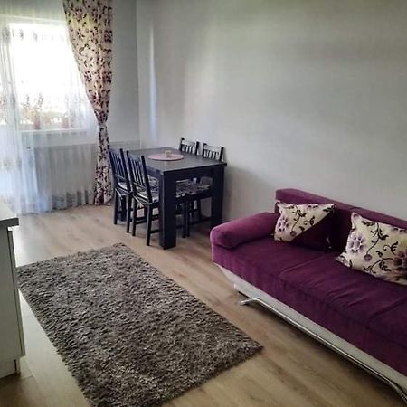 ブラショフDiana Apartamentアパートメント エクステリア 写真